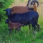 Les Du Galant Le Lever Du Soleil Maison d'hôtes 3*