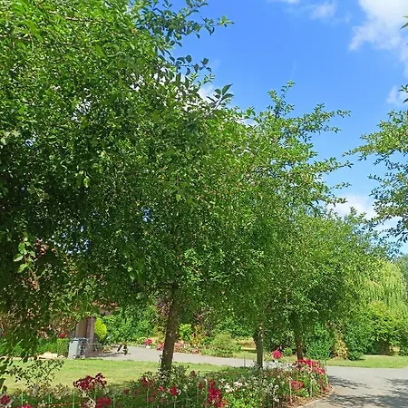 Les Du Galant Le Lever Du Soleil Verlinghem